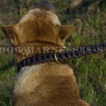 Shar-Pei Lead of Braided Leather with Nappa Padded Soft Handle