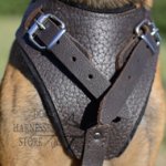 Brown Leather Harness for Dogs, Training and Walking Bestseller!