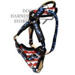Hand Painted Leather Dog Harness "American Pride"