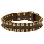 Fashion Dog Collar Leather with "Caterpillar" Style Brass Studs