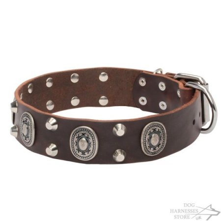 Vikings Dog Collar of Natural Leather with Oval Plates & Studs
