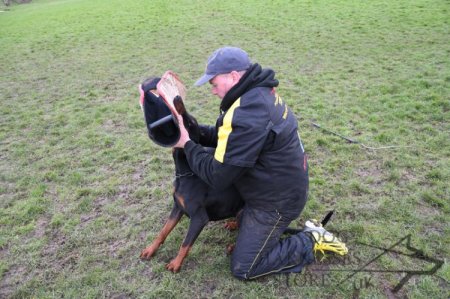 Secure Dog Training Protective Suit from Dirt and Scratches