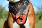 Designer Dog Harness "Flame" Style for German Boxer Training