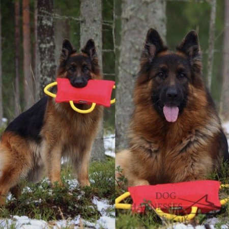 Dog Training Pad of French Linen Equipped with 3 Handles