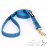 Heavy-Duty Nylon Dog Leash Non-Slip Design, Blue Color