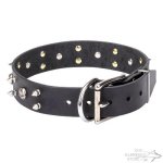 Rockstar Dog Collar, Natural Leather with Skulls and Spikes_1