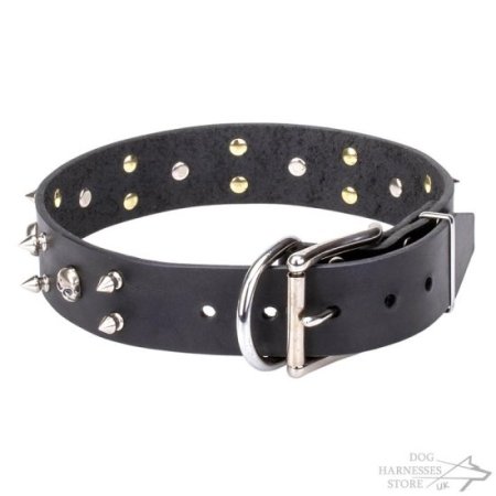 Rockstar Dog Collar, Natural Leather with Skulls and Spikes