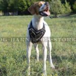 English Pointer Harness Leather Handmade Barbwire Hand Painted