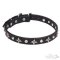 Silver Star Leather Dog Collar with Chromized Studs for Walking