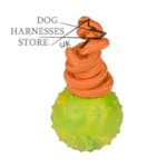 Solid Rubber Ball for Dogs