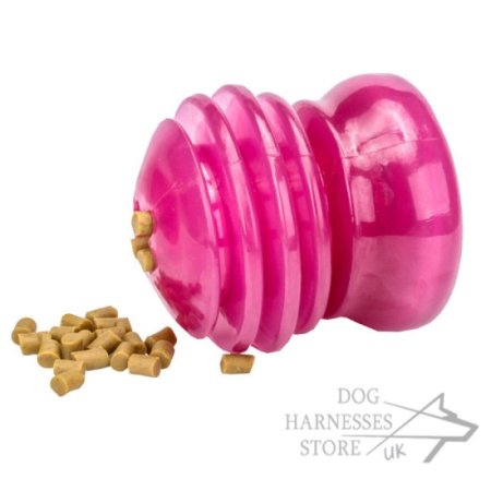 Starmark Everlasting Groovy Ball Dog Chew Toy of Large Size