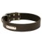 Leather Dog Collar UK with ID Plate, Personalized Accessory