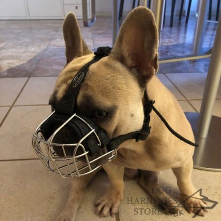 Wire Basket Dog Muzzle For Small Breeds