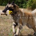 Belgian Tervuren Training Bite Tug Jute with Two Nylon Handles