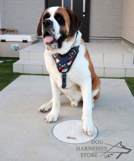 Hand Painted Leather Dog Harness "American Pride"