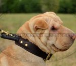 Shar-Pei Collar of Double-Ply Leather with Handle for Control