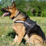 Reflective Dog Harness of Nylon with Patches for German Shepherd