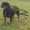 Weight Pulling Harness for Rottweiler