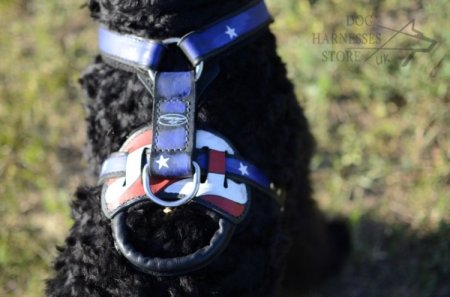 Leather Dog Harness "American Pride" for Black Russian Terrier