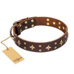 Brown Leather Dog Collar "High Fashion" with Stars, FDT Artisan