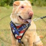 Shar-Pei Harness Leather with American Pride Hand Painting
