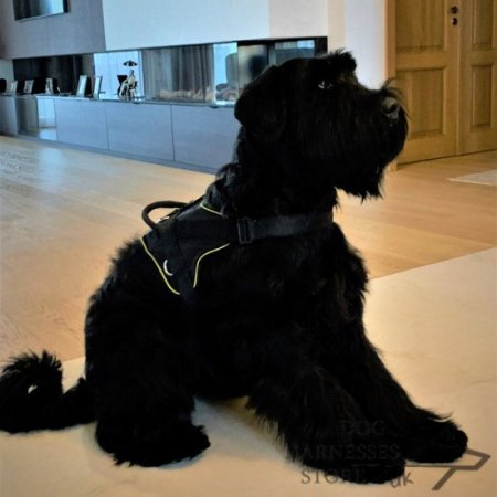 Bestseller! Schnauzer Dog Harness of Nylon, Multi-Purpose