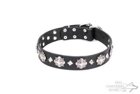 Genuine Leather Studded Dog Collar "Code of Chivalry" Artisan