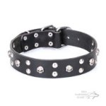 Decorative Leather Dog Collar with Silver-Like Skulls and Studs