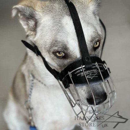 Wire Dog Muzzle UK Universal for Every Breed Walking, Training