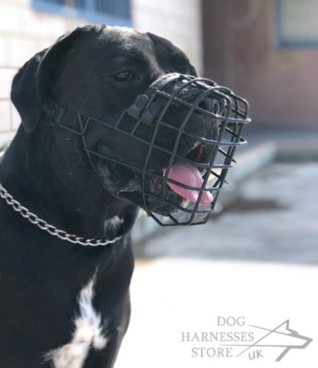 Basket Dog Muzzle Covered by Black Rubber, UK