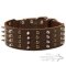 Extra Wide Leather Dog Collar with Nickel Spikes and Brass Studs