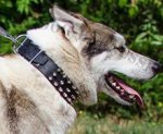 Spiked Leather Dog Collar for Husky, Fashionable Training