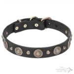 Leather Dog Collar with Brass Flowers and Small Studs
