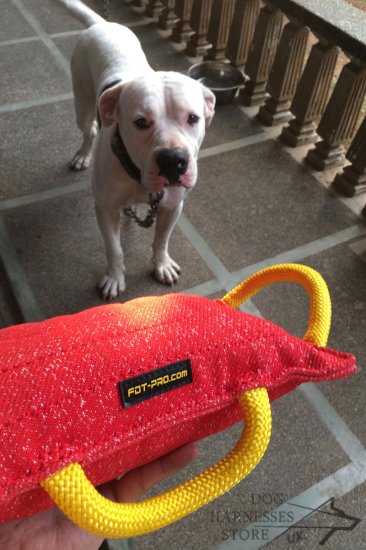 Dog Training Pad of French Linen Equipped with 3 Handles