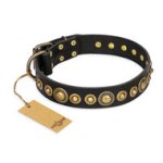 Black Leather Dog Collar FDT Artisan "Gold Mine" with Studs