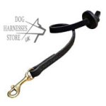 Professional Short Leather Lead, Pocket Dog Leash with Stopper