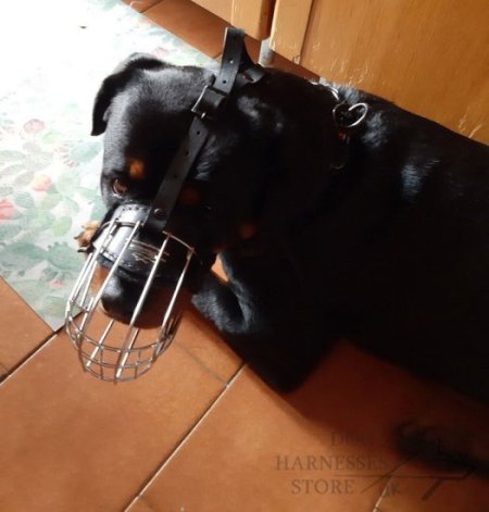 Wire Dog Muzzle UK Universal for Every Breed Walking, Training