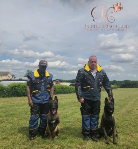 Dog Training Suit for IGP, WUSV Training and Trials