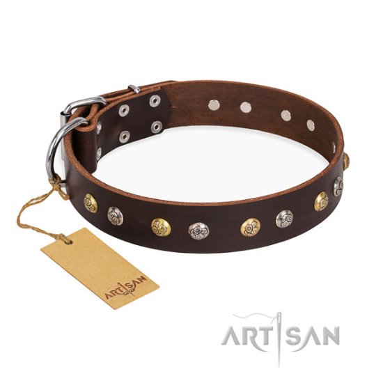 Brown Leather Dog Collar FDT Artisan with Studs "Rare Flower"