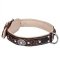 Head-spinning Padded Royal Dog Collar