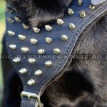 Leather Spiked Dog Harness with Padded Chest Plate