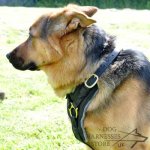 German Shepherd Leather Dog Harness for Walking and Training_3