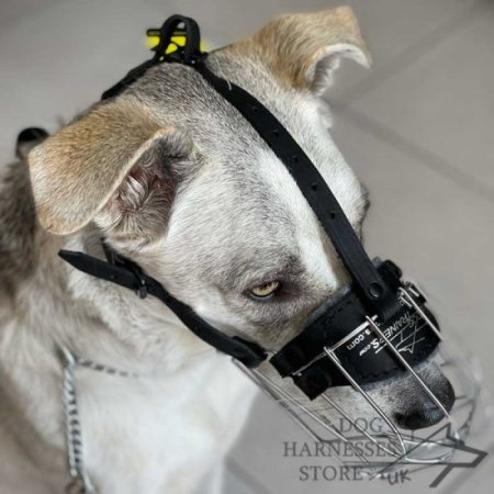 Wire Dog Muzzle UK Universal for Every Breed Walking, Training