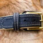 Shar-Pei Collar of Nappa Padded Leather for Reliable Control