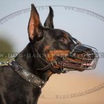 "Mad Max" Style Doberman Collar with Nickel Plates & Cones