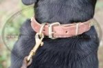 Elegant Dog Collar with Square Studs for Swiss Mountain Dog