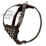 Studded Dog Harness for Small Dog & Puppy