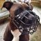 Amstaff Pitbull Mix Dog Muzzle of Rubber Covered Steel Wire