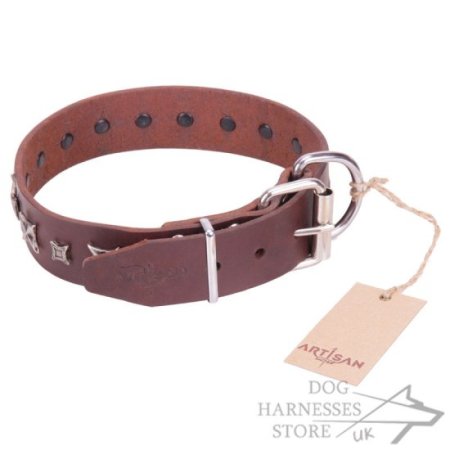 Brown Leather Dog Collar FDT Artisan "Stellar Fairy"