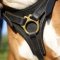 Bestseller! Leather Dog Harness for German Boxer Tracking